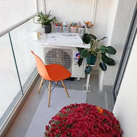 Studio Alegre Apartment *