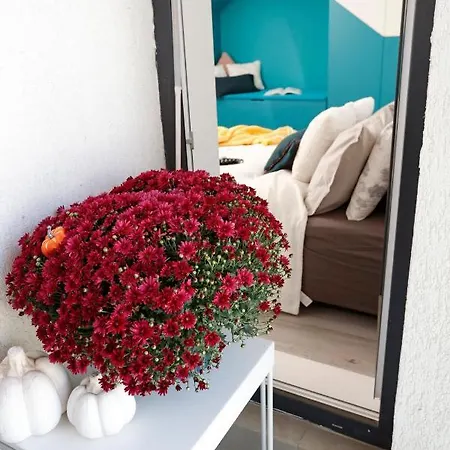 Apartment Studio Alegre Bucharest