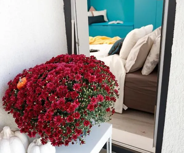 Apartment Studio Alegre Bucharest